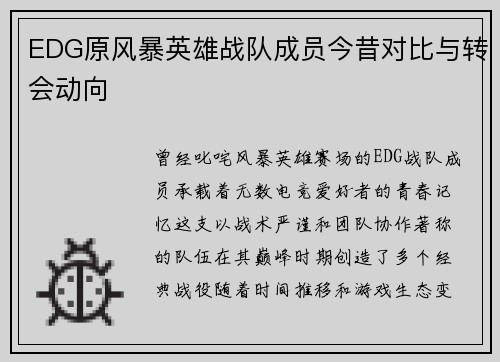 EDG原风暴英雄战队成员今昔对比与转会动向